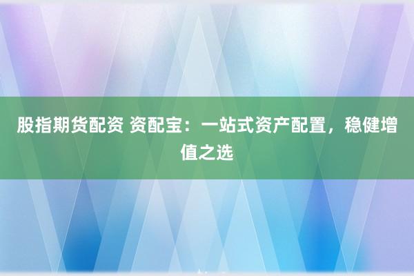 股指期货配资 资配宝：一站式资产配置，稳健增值之选