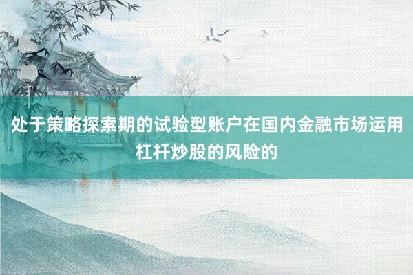 处于策略探索期的试验型账户在国内金融市场运用杠杆炒股的风险的