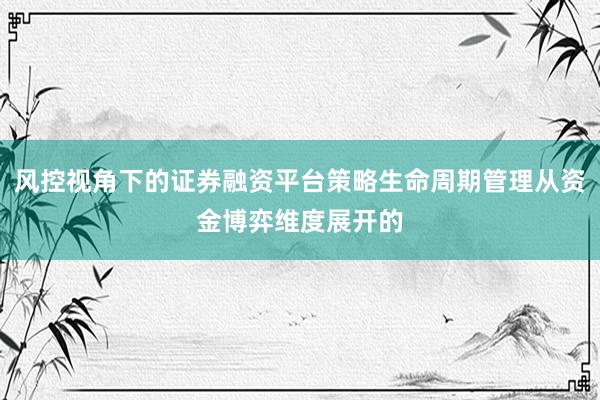 风控视角下的证券融资平台策略生命周期管理从资金博弈维度展开的