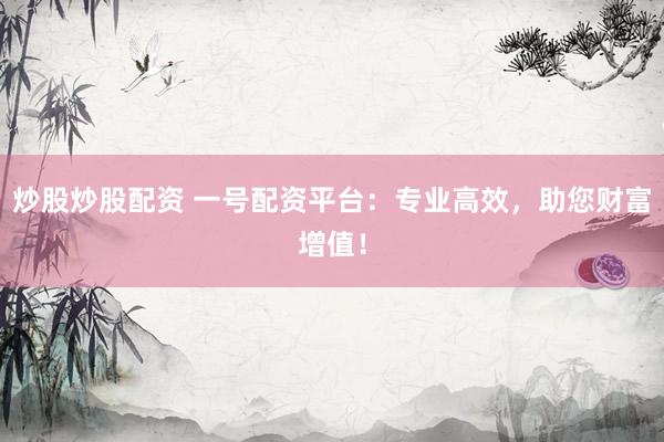 炒股炒股配资 一号配资平台：专业高效，助您财富增值！