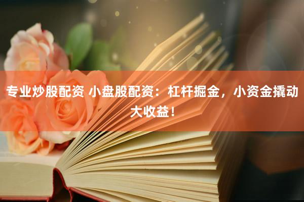 专业炒股配资 小盘股配资：杠杆掘金，小资金撬动大收益！