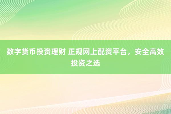 数字货币投资理财 正规网上配资平台，安全高效投资之选
